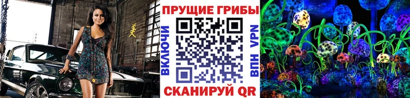 Псилоцибиновые грибы Cubensis  Купить где  Нерюнгри 
